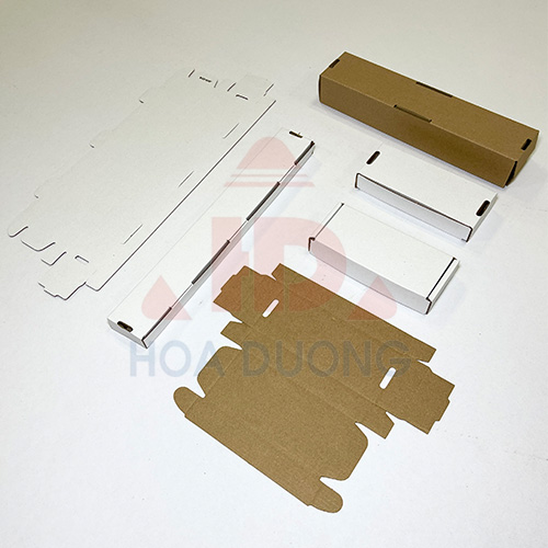 Hộp Giấy Carton